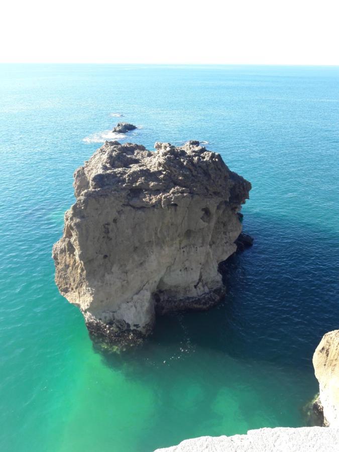 نازاريه Casa Das Ondas - Praia Do Norte المظهر الخارجي الصورة